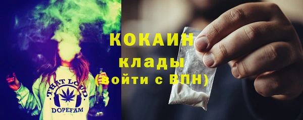 гашик Нея