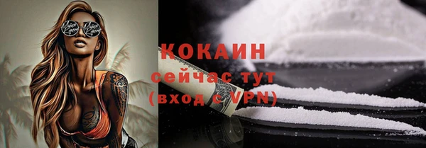 гашик Нея