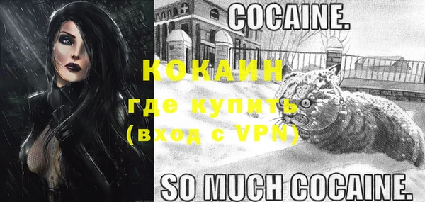 гашик Нея