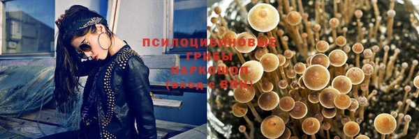 apvp Абдулино