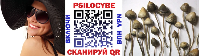 где найти наркотики  Туапсе  Галлюциногенные грибы Cubensis 