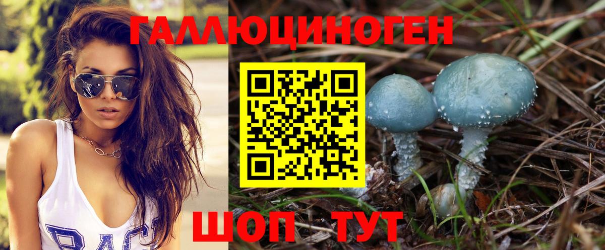 Туапсе  Псилоцибиновые грибы MAGIC MUSHROOMS  Вход с VPN  Псилоцибиновые грибы ЛСД 